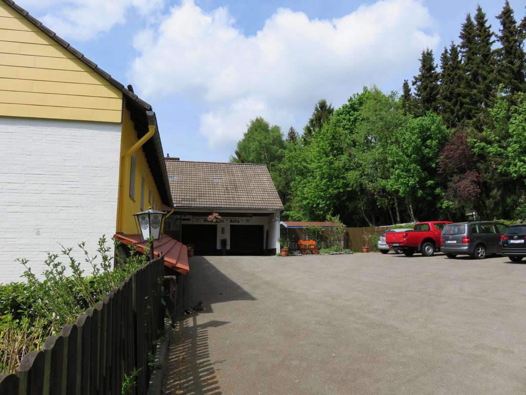 Guest house Alfa 3*