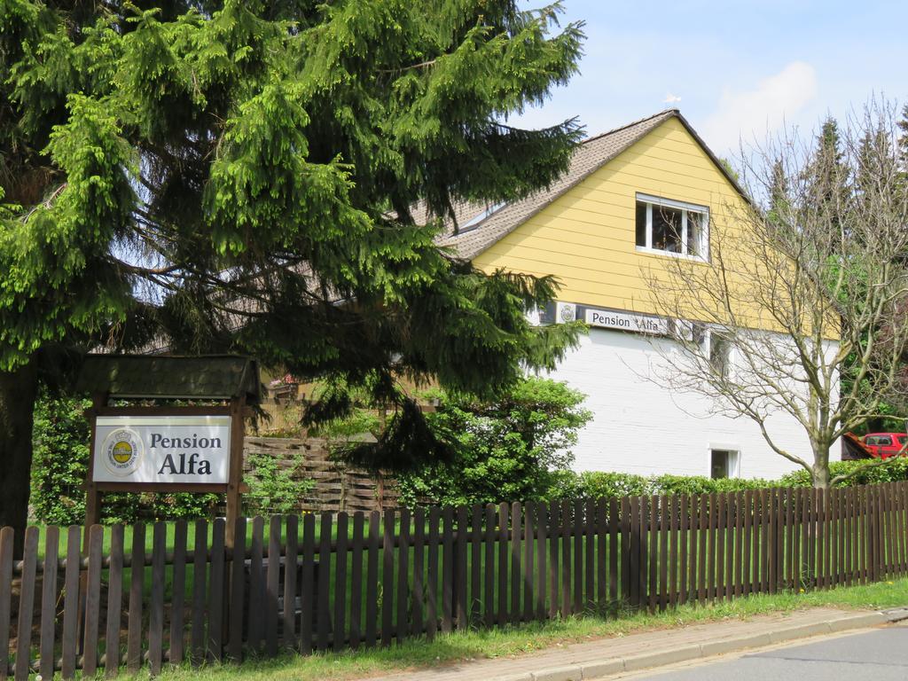 Guest house Alfa